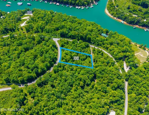 lot100 Saddleridge Dr, Speedwell, TN 37870