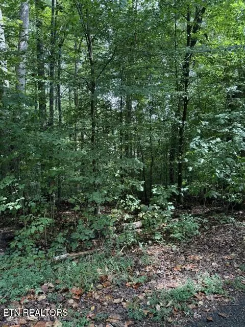 Rock Hill Rd, Maryville, TN 37804