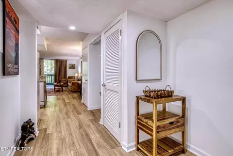 1435 Wiley Oakley Dr #155, Gatlinburg, TN 37738