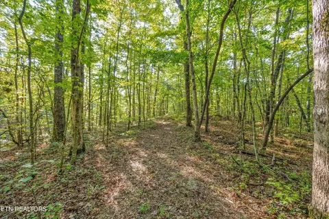 6637 Avens Ln, Tallassee, TN 37878