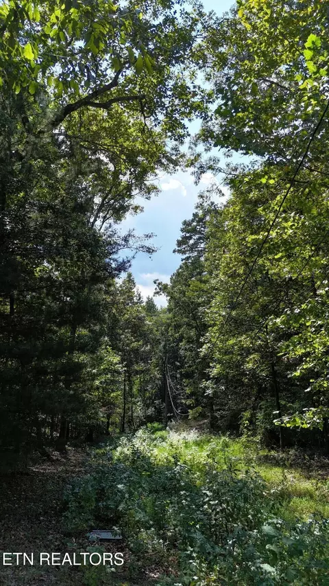 Hall St, Rockwood, TN 37854