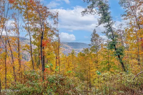 lot O Buffalo Rd, Oneida, TN 37841 photo 2