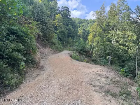 lot O Buffalo Rd, Oneida, TN 37841 photo 5