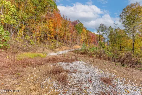 lot O Buffalo Rd, Oneida, TN 37841 photo 6
