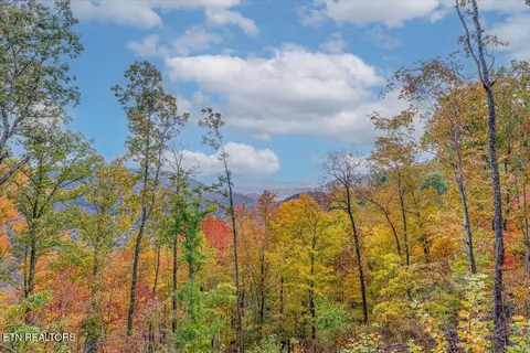 lot O Buffalo Rd, Oneida, TN 37841 photo 4