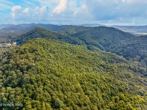 lot13 14 Speedwell Chuch Rd, Bulls Gap, TN 37711