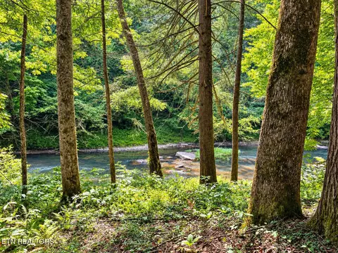 Other - 248 Emory View Rd, Lancing, TN 37770 photo 3 of 10