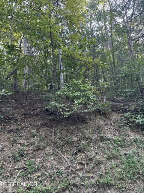 Progress Hill, Pigeon Forge, TN 37863 photo 2