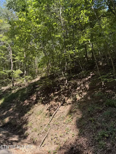 Progress Hill, Pigeon Forge, TN 37863 photo 2