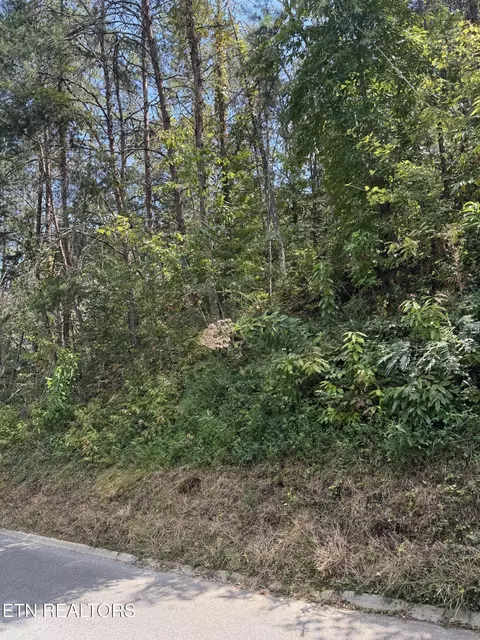 S. B. Ogle, Sevierville, TN 37876