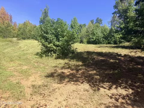 Sheerwater Rd, Kingston, TN 37763