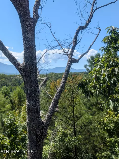 Other - 2152 E View Dr, Sevierville, TN 37876 photo 8 of 10
