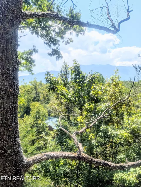 Other - 2152 E View Dr, Sevierville, TN 37876 photo 3 of 10