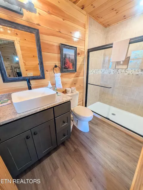 Bath - 2152 E View Dr, Sevierville, TN 37876 photo 4 of 6