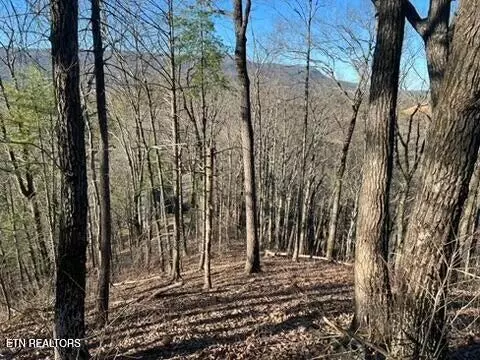 2353 Headrick Lead, Sevierville, TN 37862