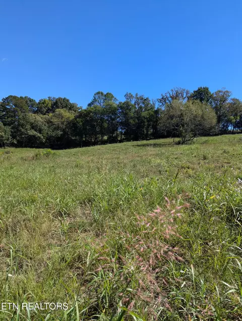 10816 Richland Rd, Mascot, TN 37806