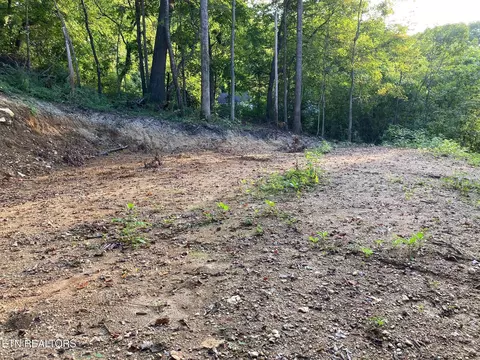 311 W Chestnut St, La Follette, TN 37766
