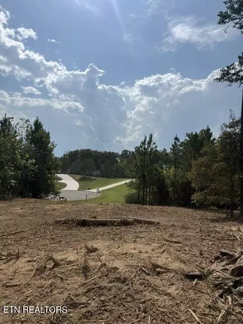 638 Red Hill Ln, Greenback, TN 37742
