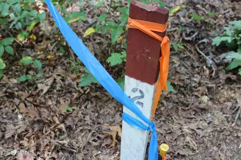 Pickett Park Hwy, Jamestown, TN 38556