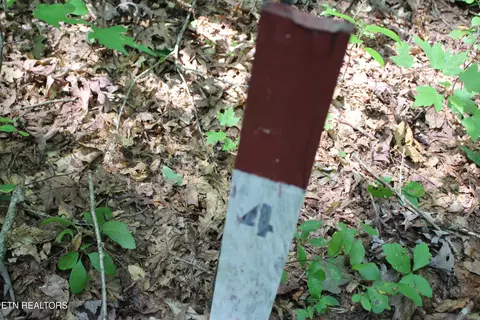 Pickett Park Hwy, Jamestown, TN 38556