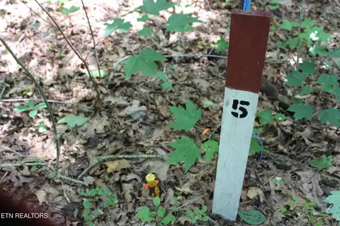 Pickett Park Hwy, Jamestown, TN 38556