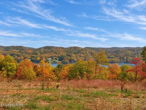 0 77 Acres Spruce Dr, Spring City, TN 37381