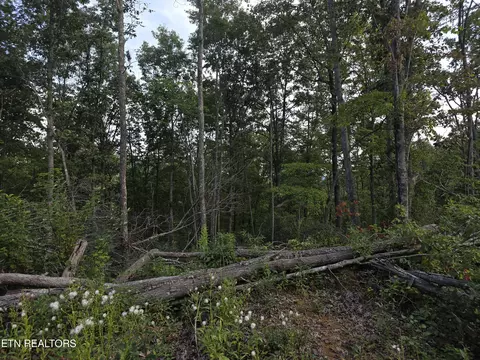 lot Apt 12 Mill Creek Rd, Sunbright, TN 37872
