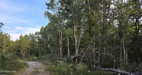 lot Apt 10 Mill Creek Rd, Sunbright, TN 37872