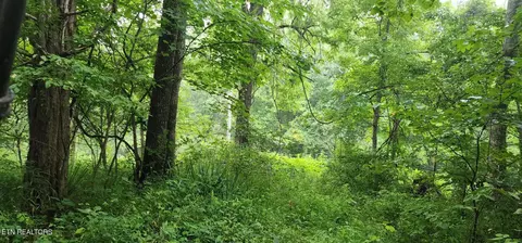 Rockhouse Creek - Church Rd, Pioneer, TN 37847