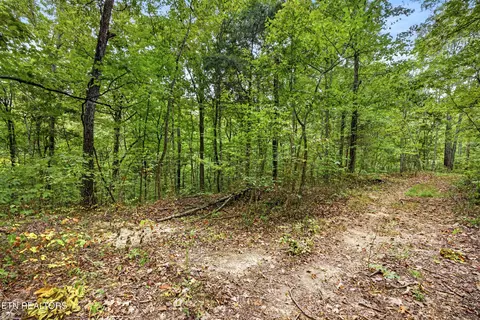 lot20 Timber Ridge Ln, Celina, TN 38551