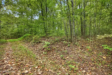 lot21 Timber Ridge Ln, Celina, TN 38551