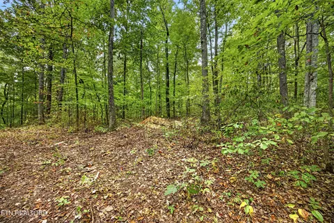 lot22 Timber Ridge Ln, Celina, TN 38551