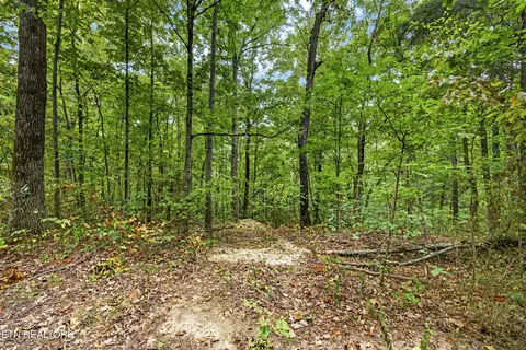 lot23 Timber Ridge Ln, Celina, TN 38551