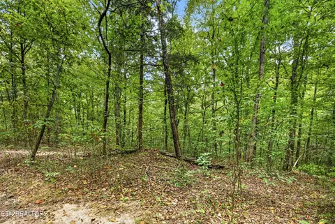 lot24 Timber Ridge Ln, Celina, TN 38551