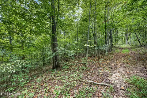 lot25 Timber Ridge Ln, Celina, TN 38551