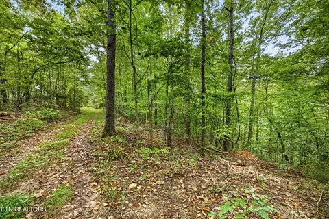 lot26 Timber Ridge Ln, Celina, TN 38551