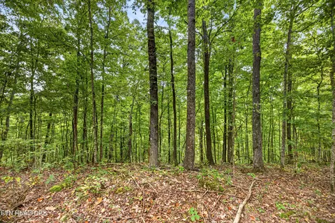 lot27 Timber Ridge Ln, Celina, TN 38551