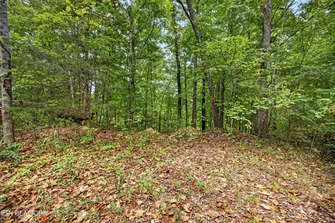 lot28 Timber Ridge Ln, Celina, TN 38551