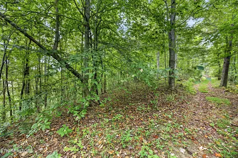 lot29 Timber Ridge Ln, Celina, TN 38551