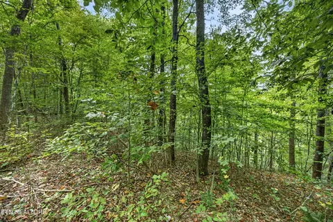 lot30 Timber Ridge Ln, Celina, TN 38551