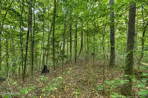lot31 Timber Ridge Ln, Celina, TN 38551