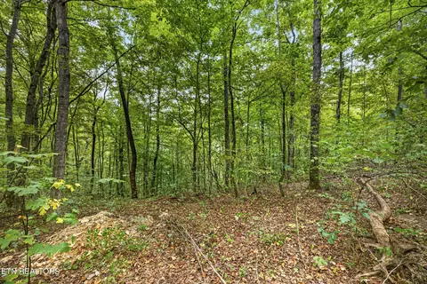 lot32 Timber Ridge Ln, Celina, TN 38551