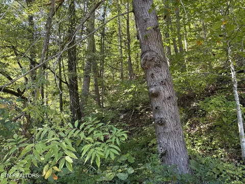 n clearfork rd #SEC 2, Sevierville, TN 37862