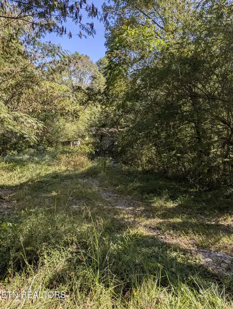 528 N 13th St, La Follette, TN 37766