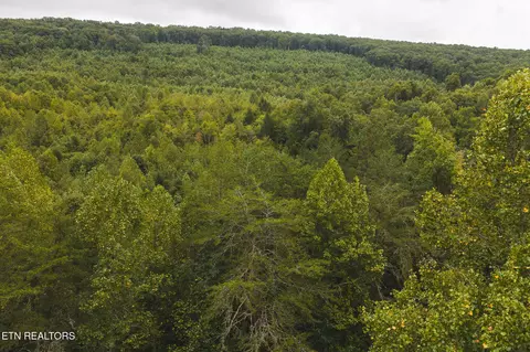 1444 Beech Creek Rd, Rogersville, TN 37857