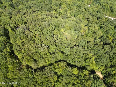 Lake Overlook Drive, Rockwood, TN 37854