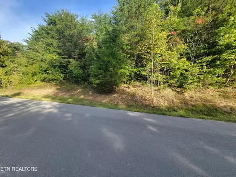 lot51 Hickory Point Ln, Maynardville, TN 37807