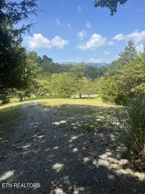 2045 Holiness Hollow Rd, Ewing, VA 24248 photo 8