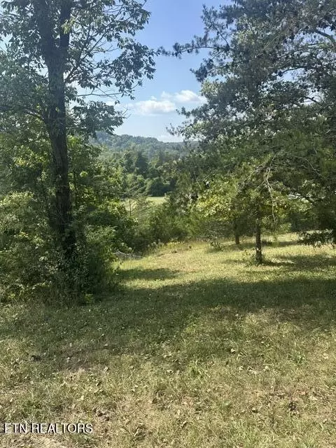 2045 Holiness Hollow Rd, Ewing, VA 24248 photo 4