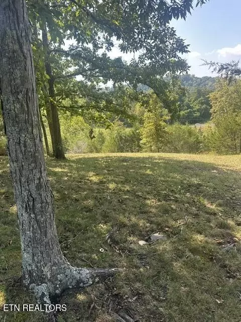 2045 Holiness Hollow Rd, Ewing, VA 24248 photo 9